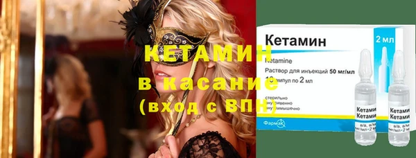 индика Алзамай