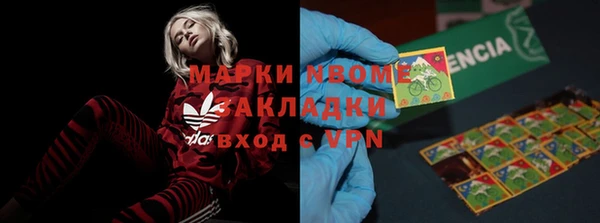 индика Алзамай