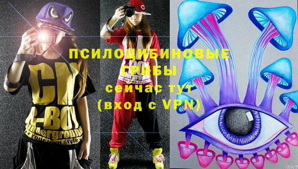спиды Алексин