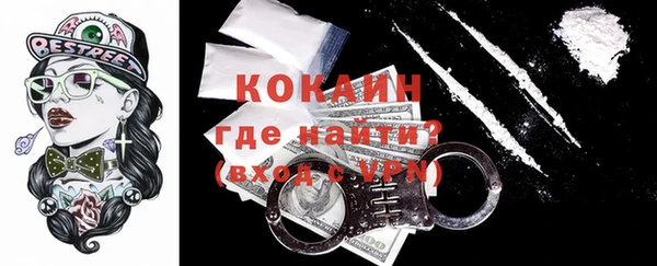 индика Алзамай